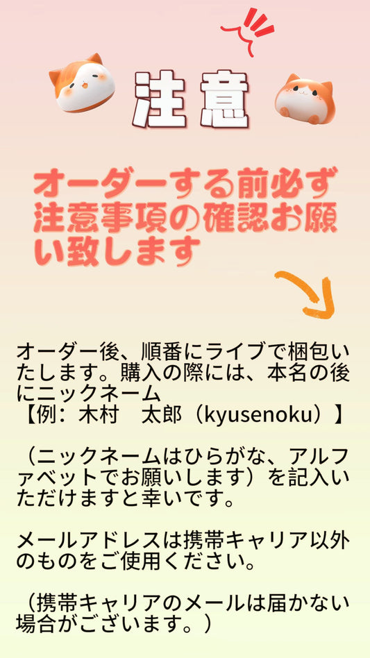 A注意事項の確認